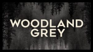 Woodland Grey (2021) Poster 2