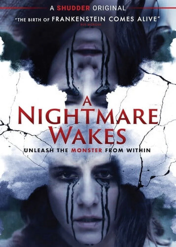 A Nightmare Wakes (2020) Poster 01