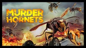 Murder Hornets 2020 Poster 2