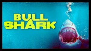 Bull Shark 2022 Poster 2
