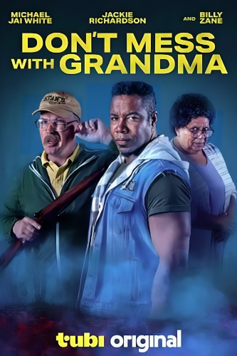 Don't Mess With Grandma (2024) Poster