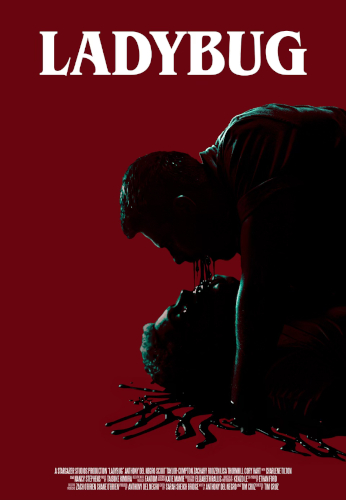 Ladybug (2024) Horror Movie Poster